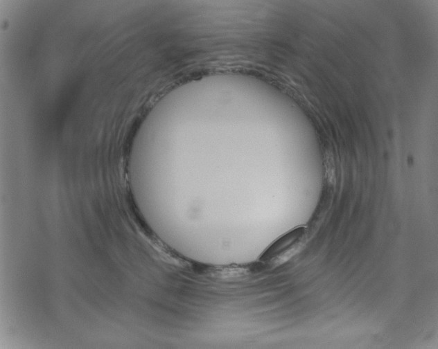 X0000073410670200607280911