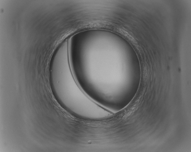 X0000073410673200607280911