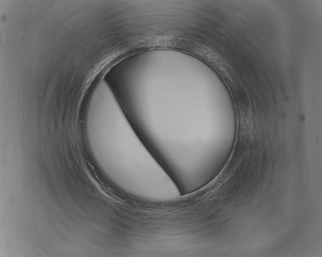 X0000073410674200607280911