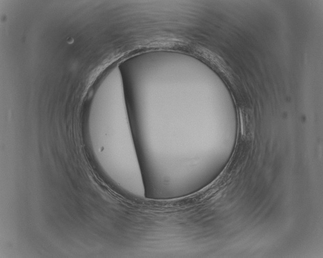 X0000073410675200607280911