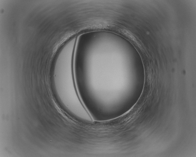 X0000073410677200607280911