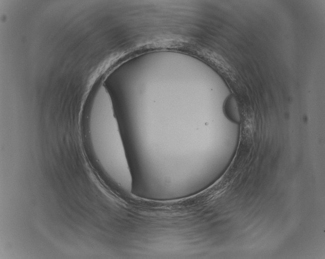 X0000073410678200607280911