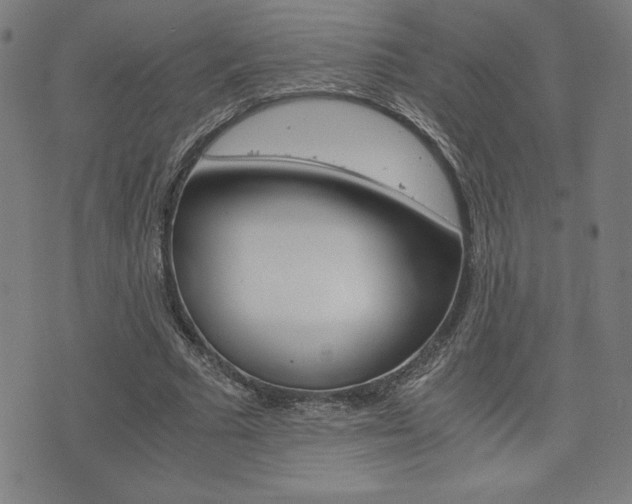 X0000073410681200607280911