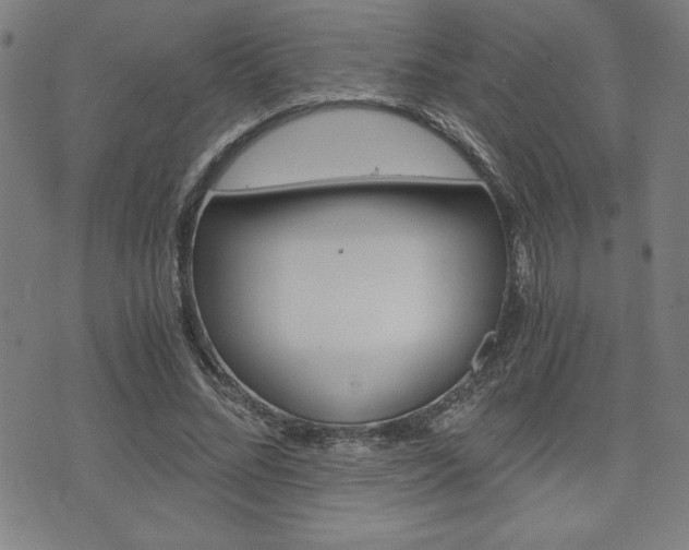 X0000073410684200607280911