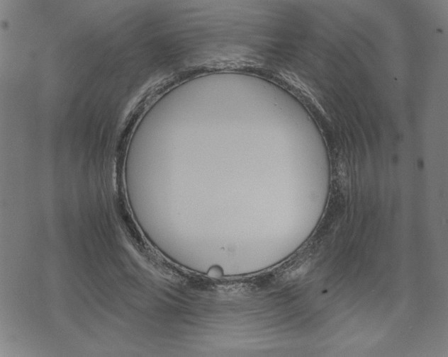 X0000073410686200607280911