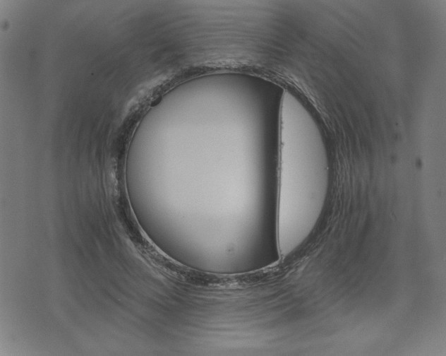 X0000073410688200607280911