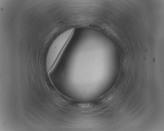 X0000073410693200607280910