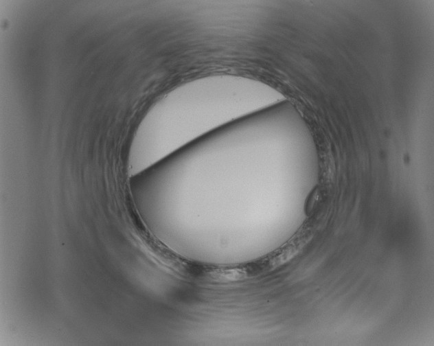 X0000073410711200607280910