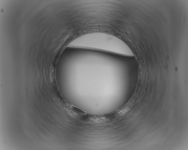 X0000073410712200607280910