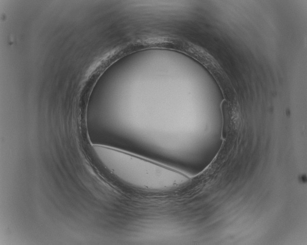 X0000073410732200607280909