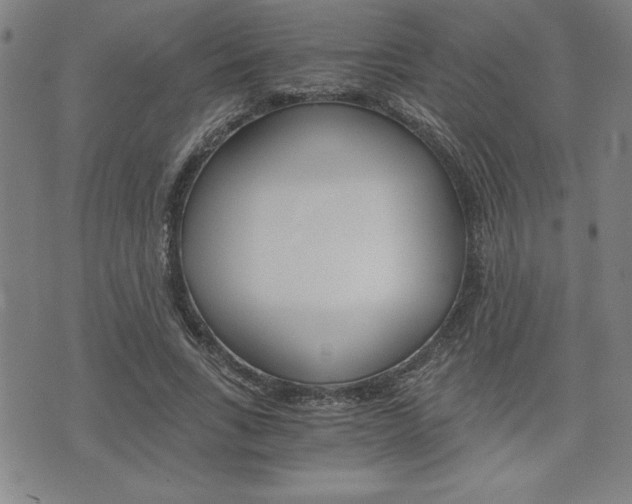 X0000073410735200607280909