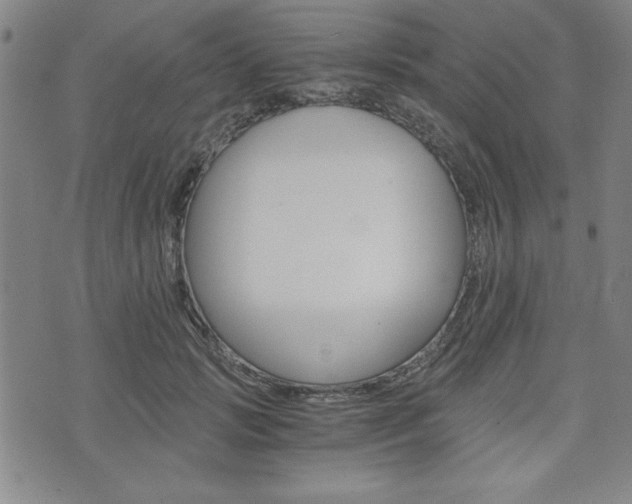 X0000073410749200607280910