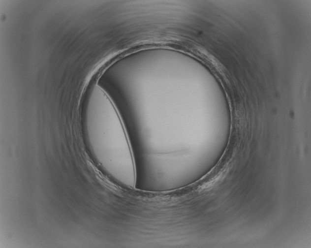 X0000073410779200607280909