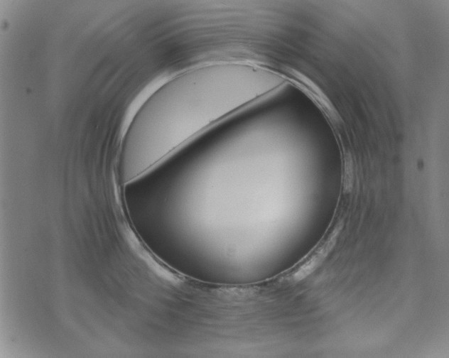 X0000073410812200607280908