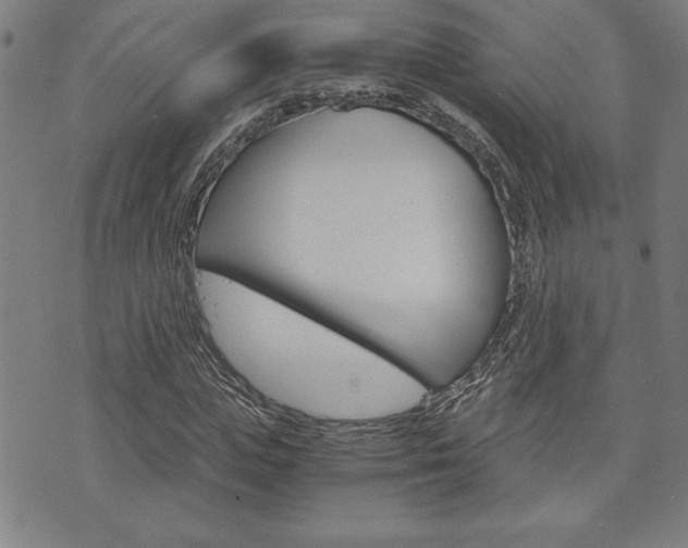X0000073410823200607280908