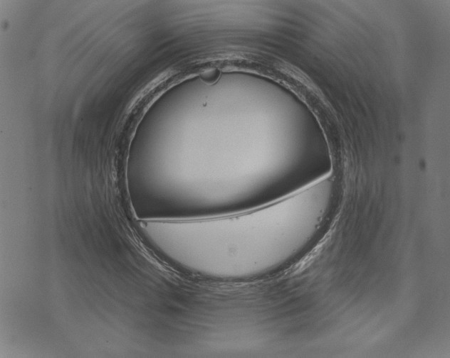 X0000073410826200607280908