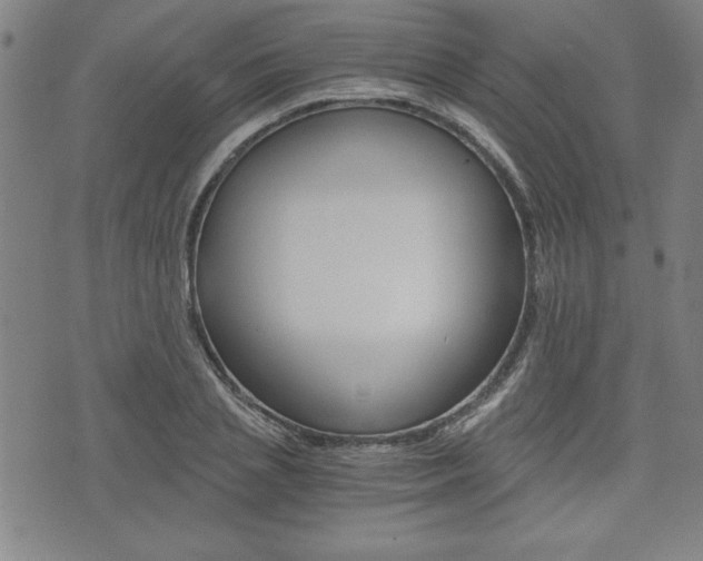 X0000073410837200607280908
