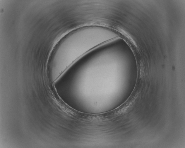 X0000073410876200607280907