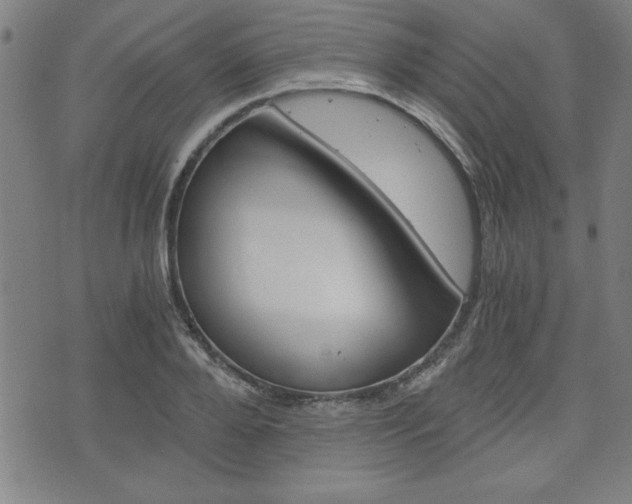 X0000073410888200607280907