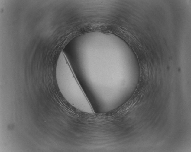 X0000073410914200607280906