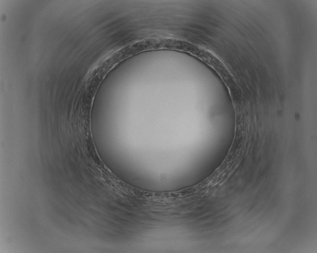 X0000073410919200607280906
