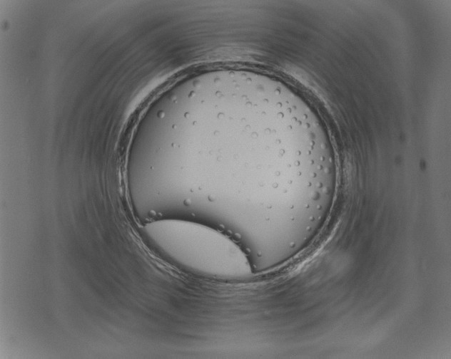 X0000073410925200607280906