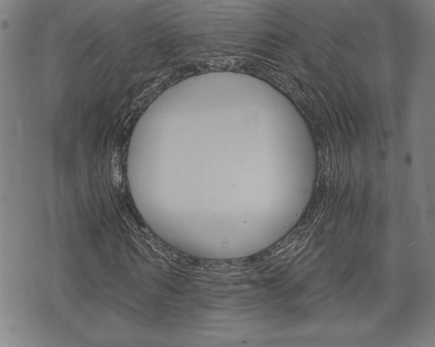 X0000073410962200607280906
