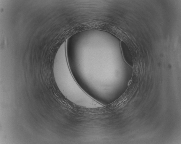 X0000073411010200607280905