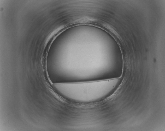 X0000073411026200607280905