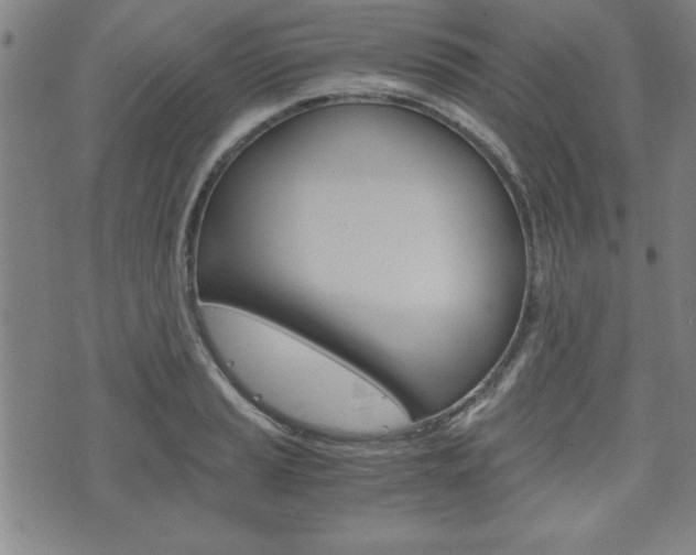 X0000073411037200607280905