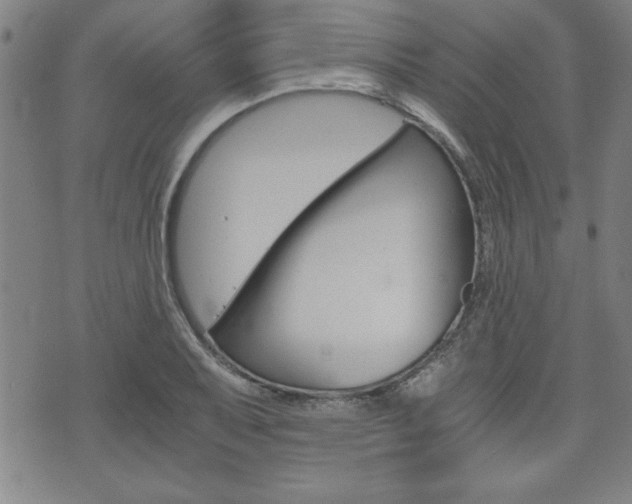 X0000073411079200607280904
