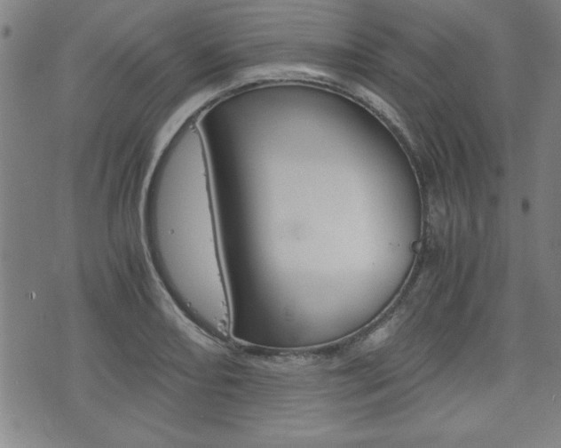 X0000073411082200607280904