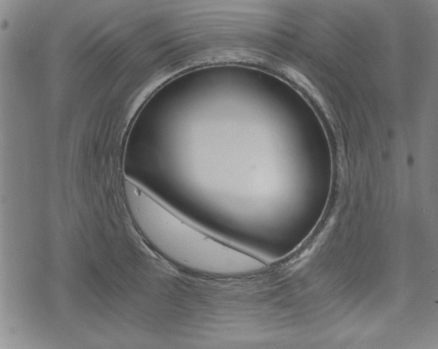 X0000073411089200607280904