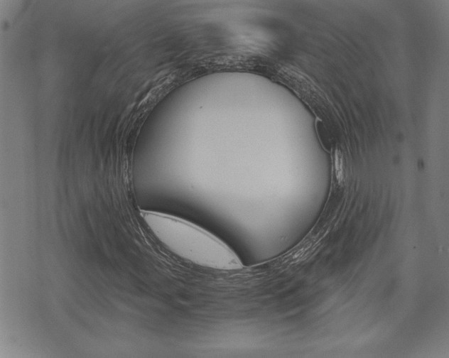X0000073411107200607280903