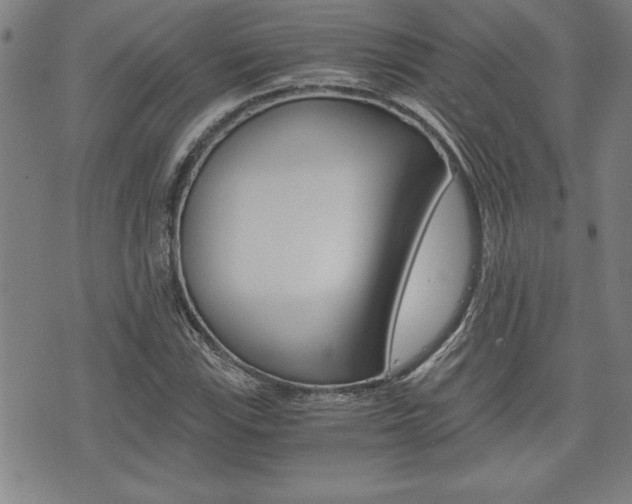 X0000073411115200607280903
