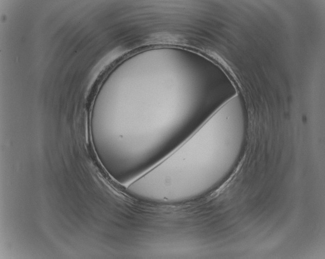 X0000073411123200607280903