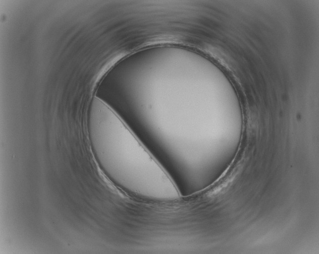 X0000073411137200607280903
