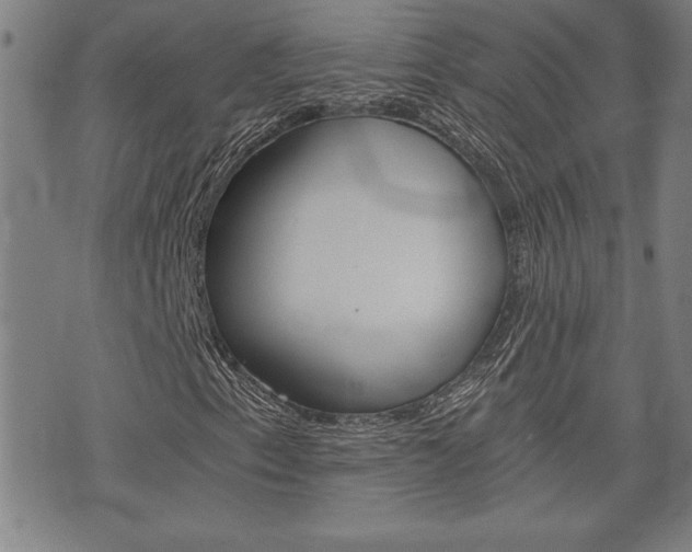 X0000073411153200607280903