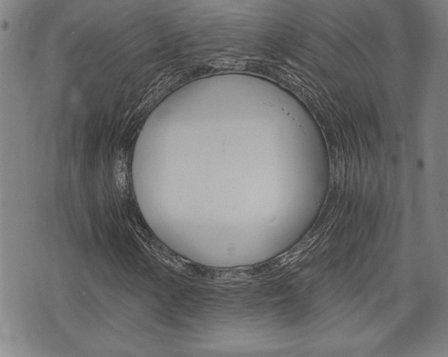 X0000073411154200607280903