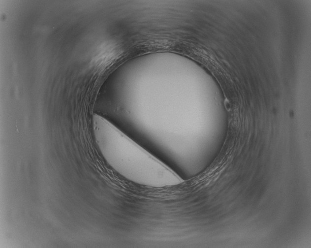 X0000073411201200607280901
