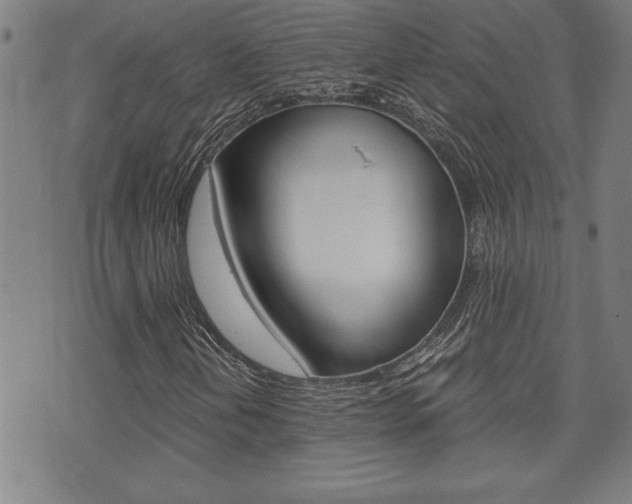X0000073411202200607280901