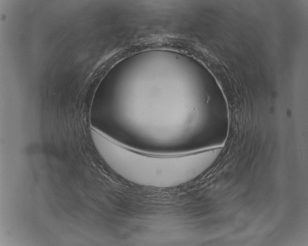 X0000073411206200607280902