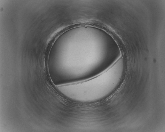 X0000073411214200607280902