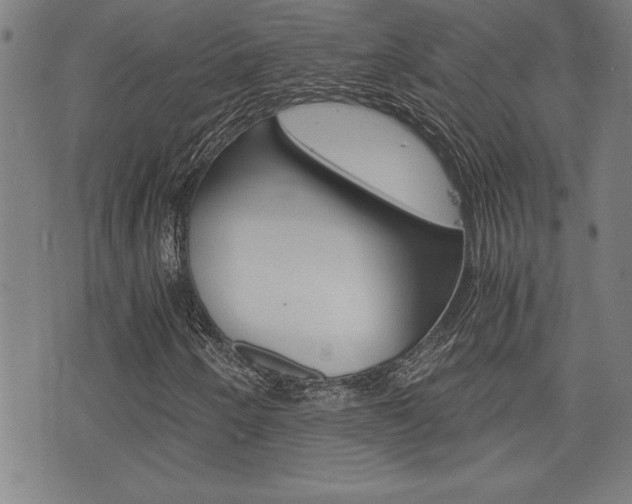 X0000073411250200607280901