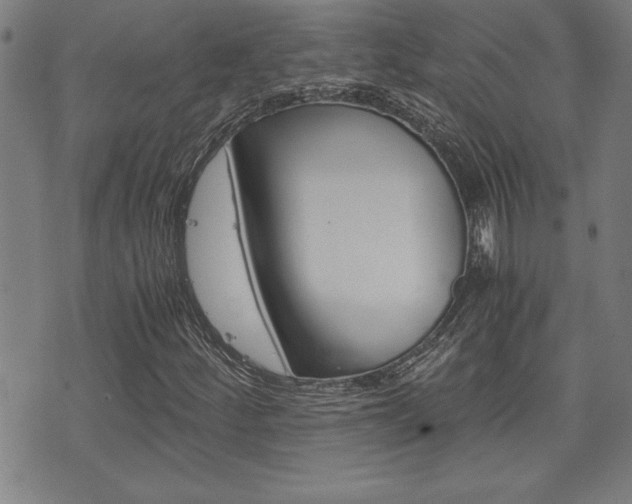 X0000073411252200607280901