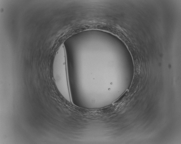 X0000073411253200607280901