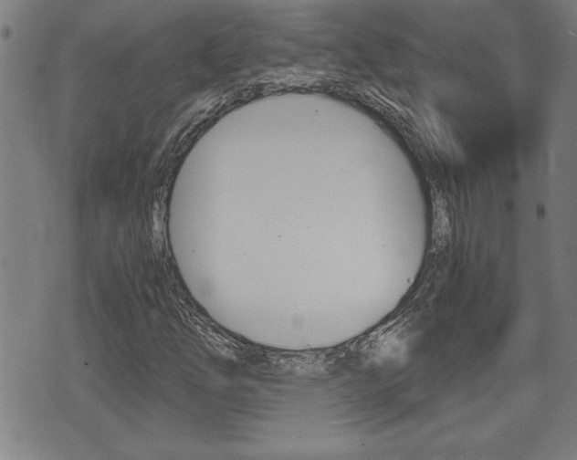 X0000073411254200607280901