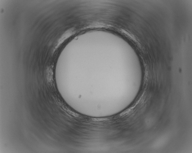 X0000073411258200607280901