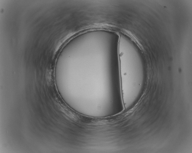 X0000073411260200607280901