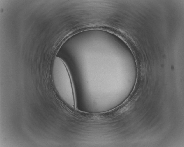 X0000073411265200607280901